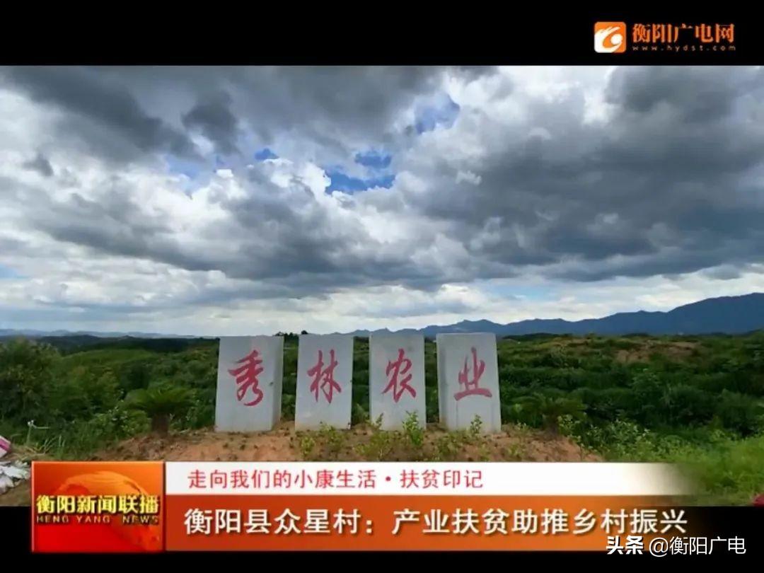 衡陽縣關市鎮最新資訊，學習變化帶來的自信與成就感提升