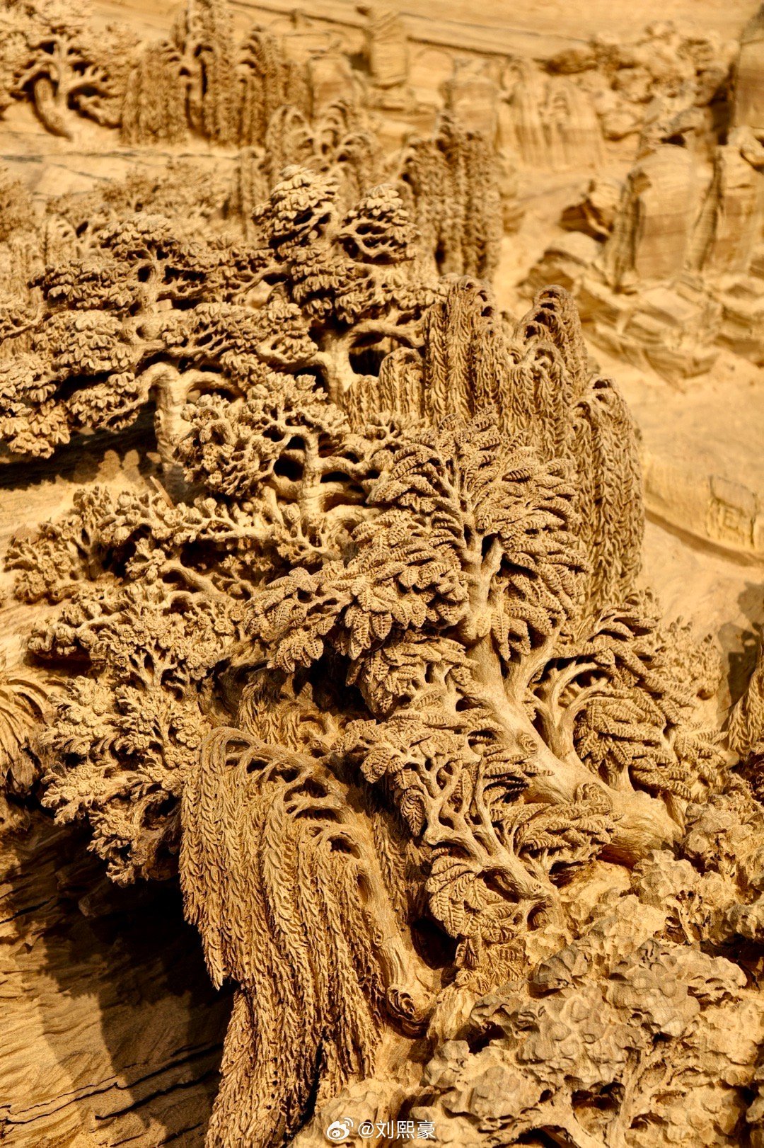 最新木雕藝術作品展示,最新木雕藝術作品展示步驟指南