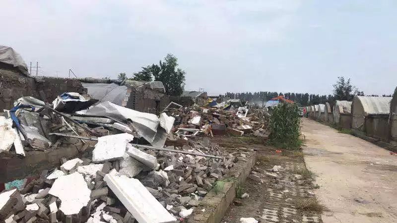 楊鎮拆遷最新動態，科技引領重塑，開啟拆遷新篇章體驗