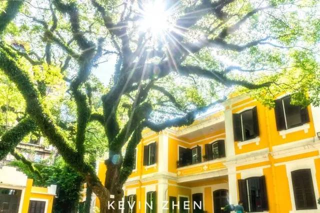 澳門答家婆一肖一馬一中一特,快速解答方案設計_知曉版14.534