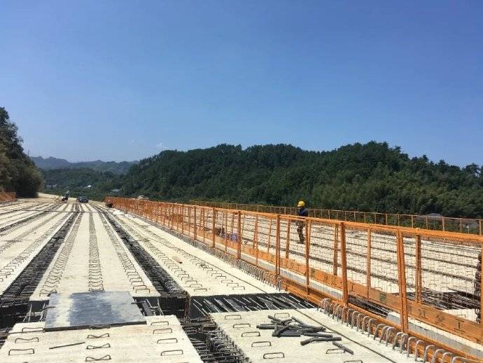 臨金高速分水段最新動態更新