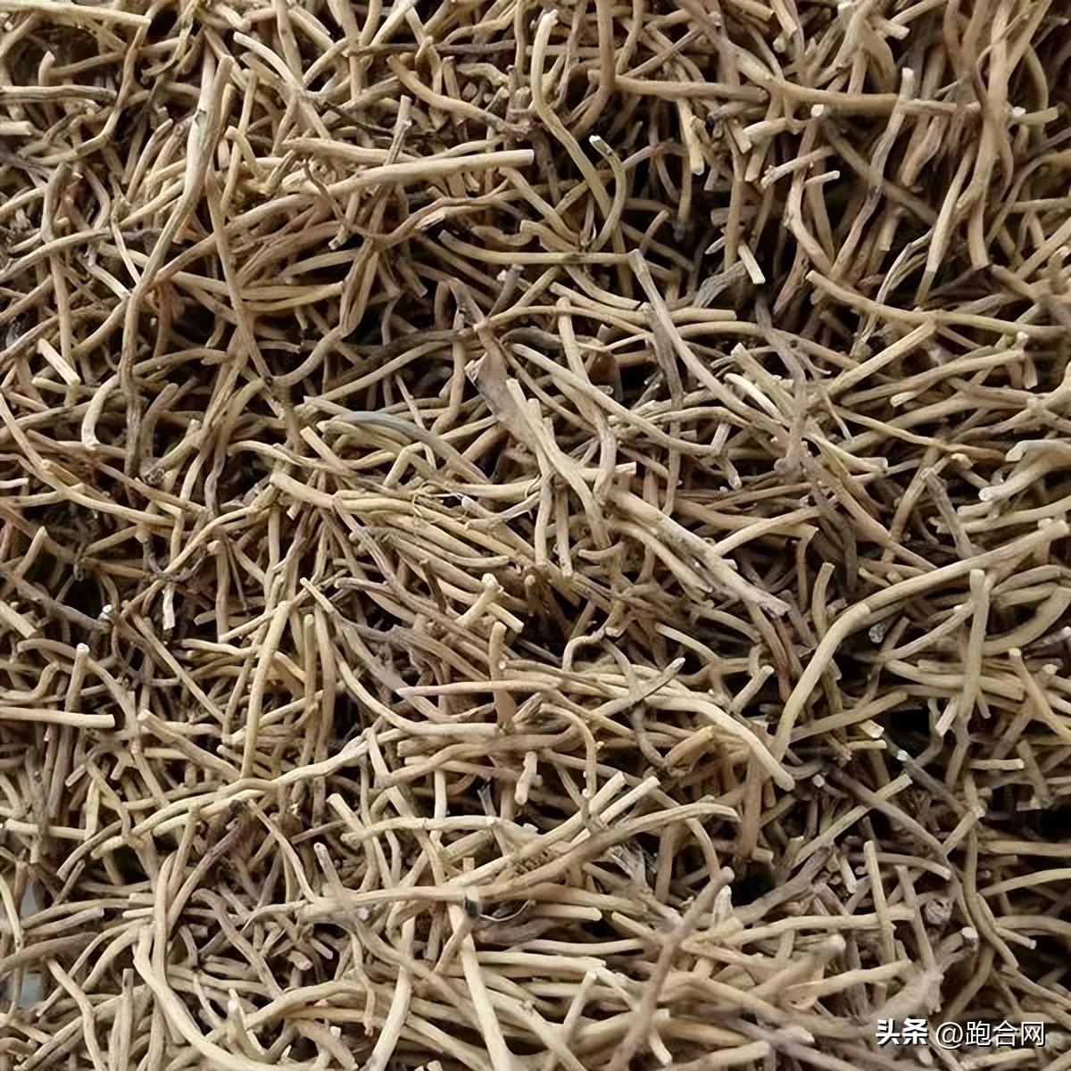 毫州藥材最新價格表,學習變化,成就自信之源