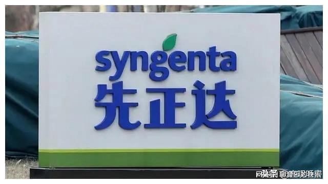 先正達國內上市,先正達國內上市，機遇與挑戰并存