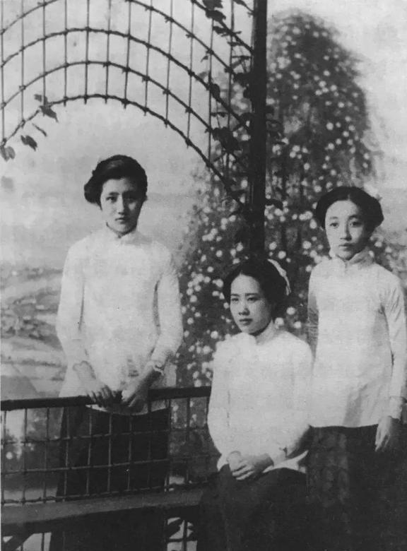 董竹君電視劇,董竹君電視劇，歷史與藝術的融合呈現