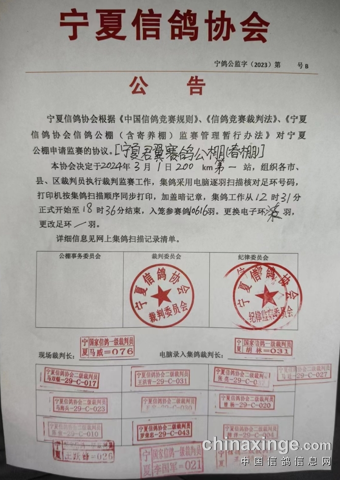 靈武信鴿協(xié)會最新公告發(fā)布，關(guān)注協(xié)會最新動態(tài)