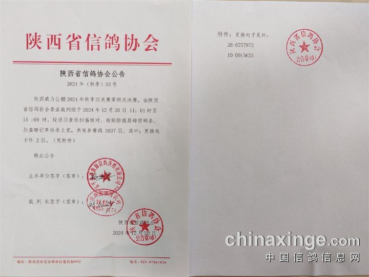 靈武信鴿協(xié)會最新公告發(fā)布,關(guān)注協(xié)會最新動態(tài)