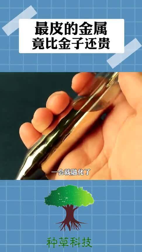 貴重金屬行情深度解析，市場趨勢與影響因素探討