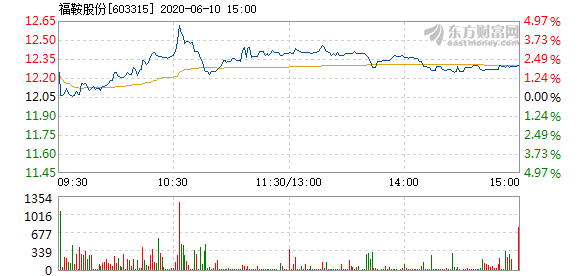 福鞍股票,福鞍股票——投資者的明智之選，開啟財富新篇章！