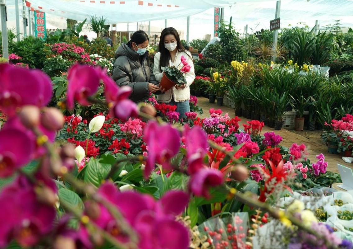 巷弄深處的繁花秘境,揭秘鮮花市場行情探秘