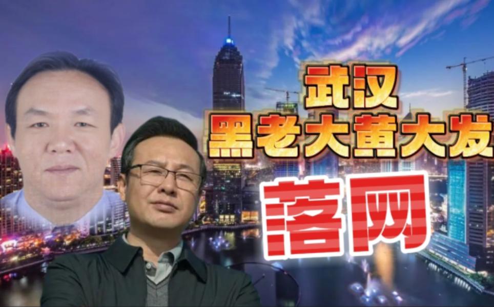 湖北涂勇最新動態，擁抱自然，心靈寧靜之旅探尋記