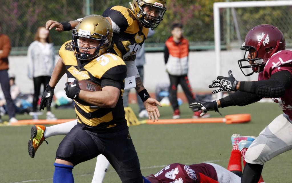 探索小巷中的神秘貓咪大賽,參賽指南與攻略