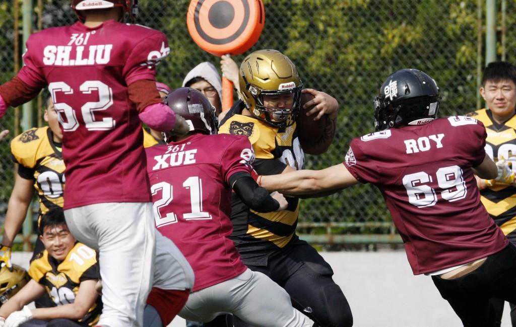 探索小巷中的神秘貓咪大賽,參賽指南與攻略