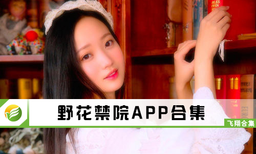 野花最新網址，網絡時代的獨特風景探索