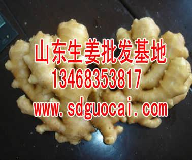 今日山東生姜價(jià)格行情,今日山東生姜價(jià)格行情,變化中的學(xué)習(xí),賦予我們力量