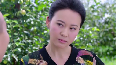 雙喜盈門演員，星光熠熠下的演技璀璨展現