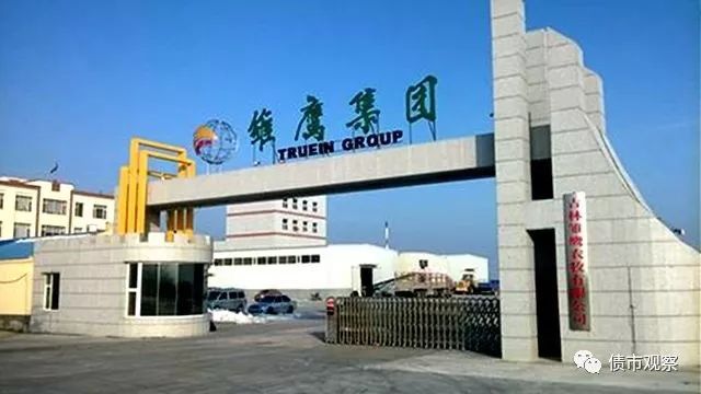 雛鷹農牧最新動態，變革中的力量與自信成就感的崛起