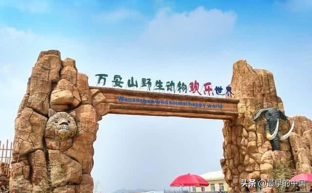 伊濱區(qū)最新規(guī)劃與小巷深處的獨特魅力探索