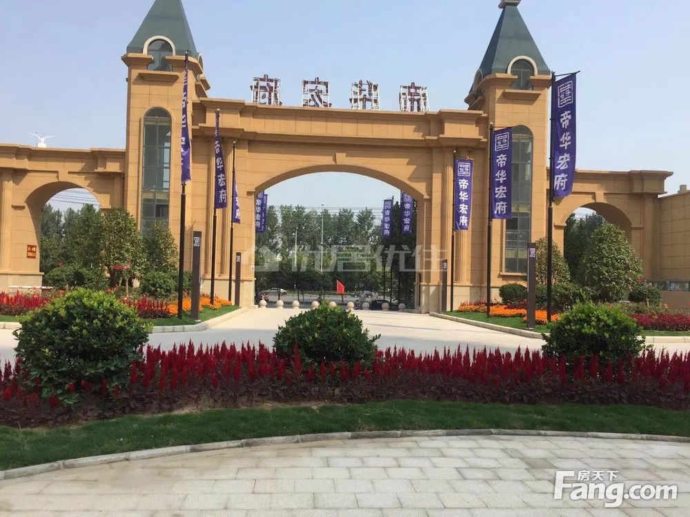 帝華宏府最新動態，高科技產品介紹與最新資訊揭秘