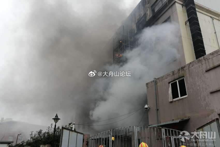 舟山火災最新動態(tài)，小巷深處的獨特煙火危機