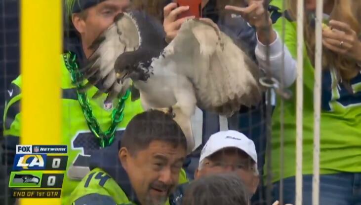 比賽吉祥物，自信與成就感的象征標志