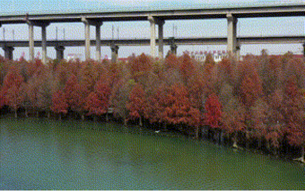 方集鎮白果水庫動態,發展與保護的平衡之道