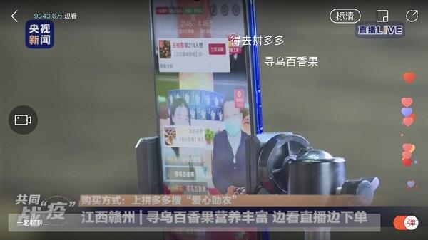 尋烏最新資訊深度解析，觀點闡述與最新動態報告