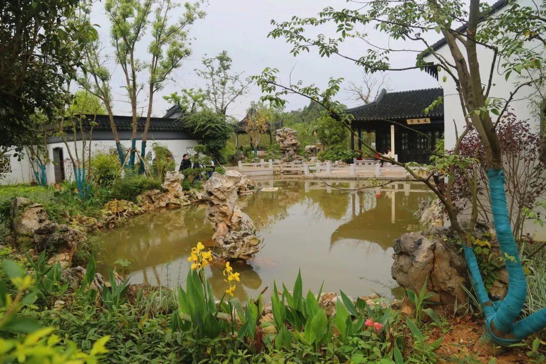 南寧園搏園最新動態揭秘，游園攻略與技能學習指南