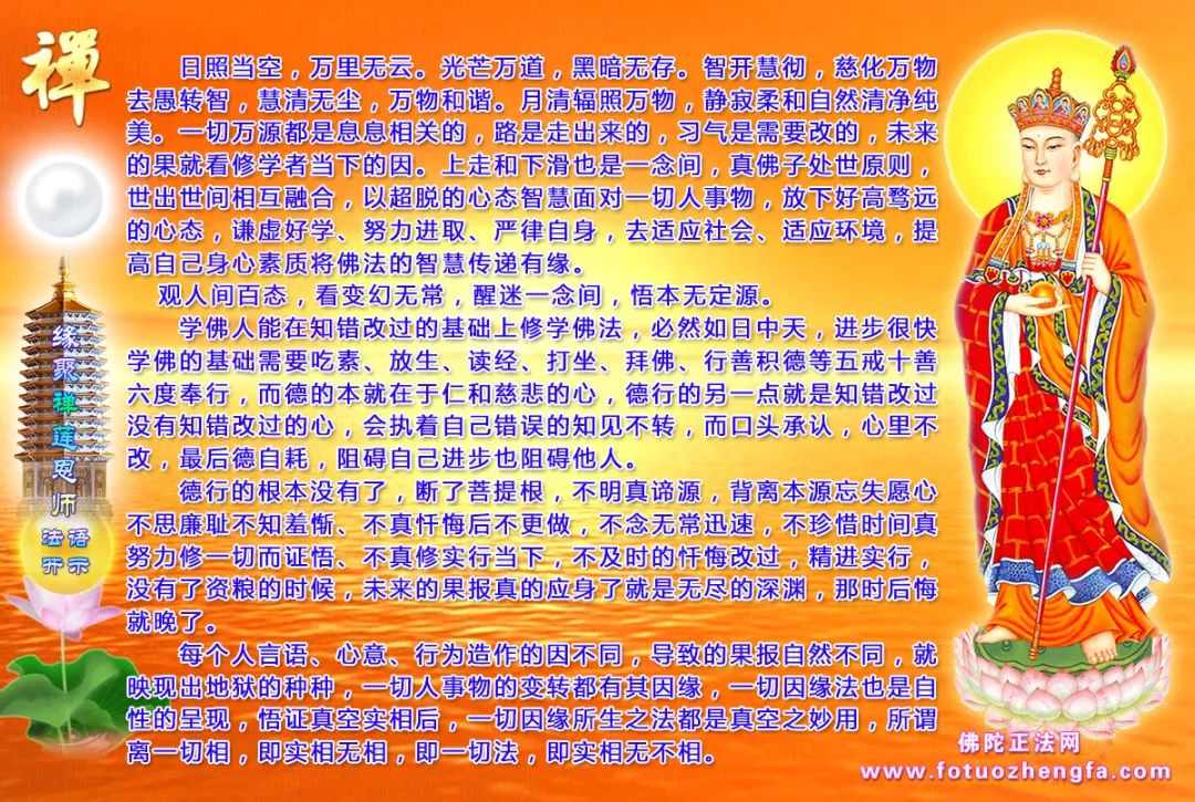 最新佛法開示揭秘，小巷深處的禪意寶藏探尋