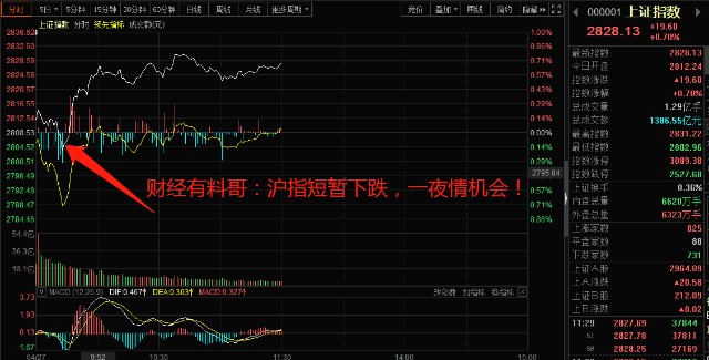 財道行情分析與操作指南，初學者與進階用戶的必備指南