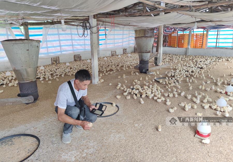 東蘭最新資訊全掌握,獲取指南帶你速覽時(shí)事動(dòng)態(tài)