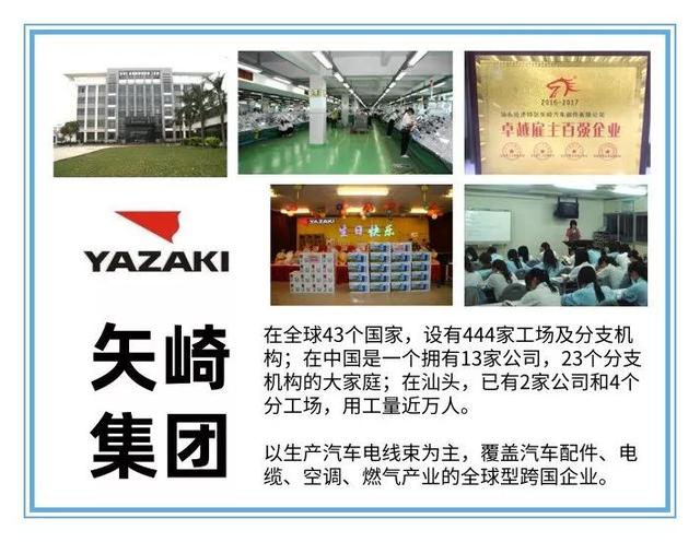 孝感矢崎最新招聘資訊,孝感矢崎最新招聘資訊,一場溫馨的求職之旅