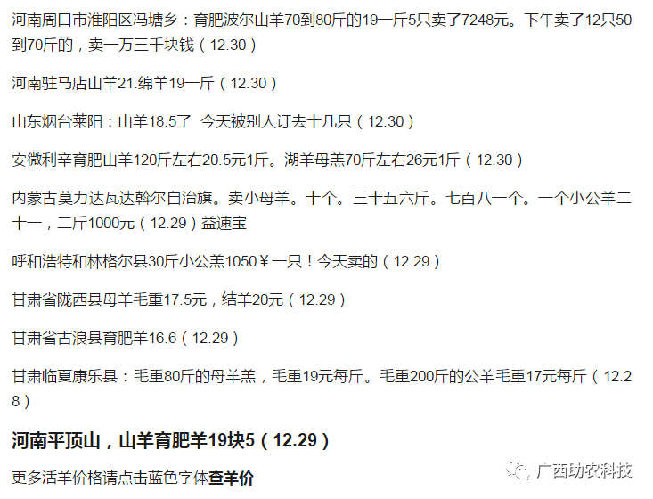 最新羊肉價格動態(tài),最新羊肉價格動態(tài),變化中的市場,成長中的我們