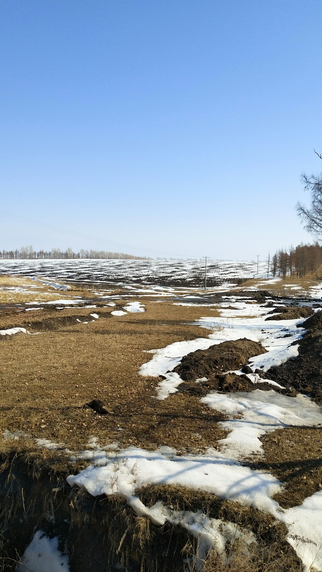 五大連池天氣預報實時更新,最新天氣動態一網打盡!