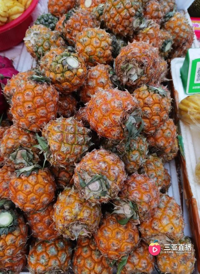 楊桃的甜蜜時光,友情與陪伴的溫馨故事與上市時刻揭秘