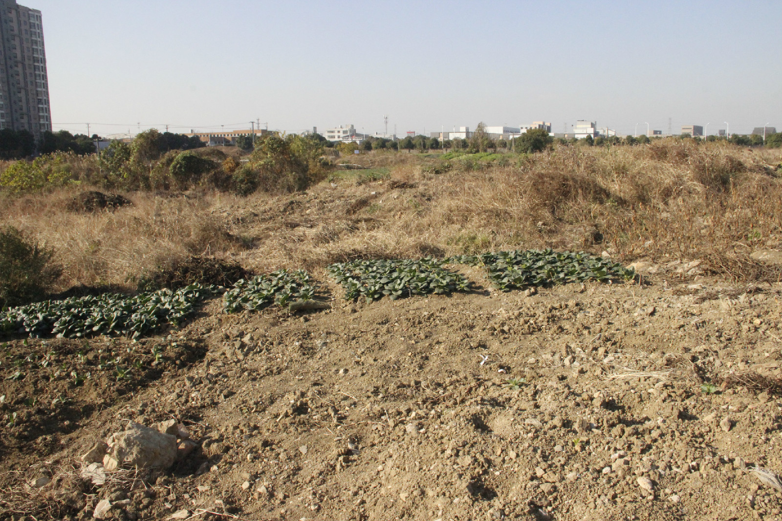 科技新品價格洼地,重塑未來生活體驗,顛覆想象!