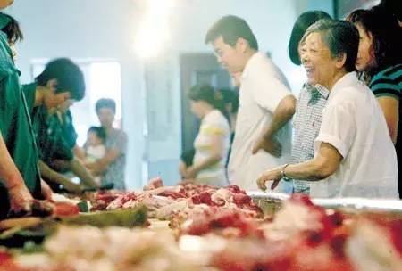 現代畜牧業發展多維度解析，肉農資訊深度探討