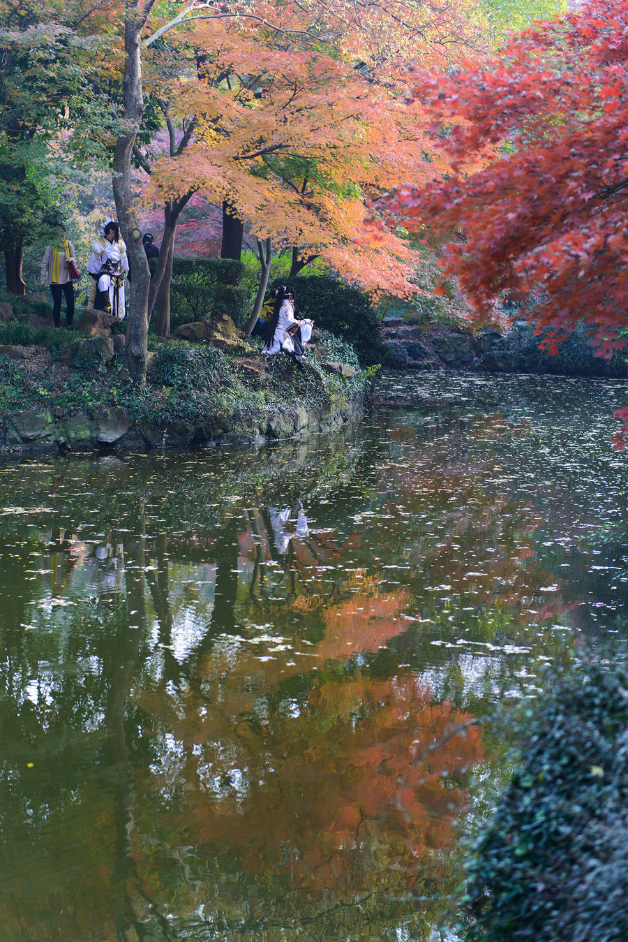 秋霞精選,電影藝術(shù)的獨(dú)特魅力及其深遠(yuǎn)影響