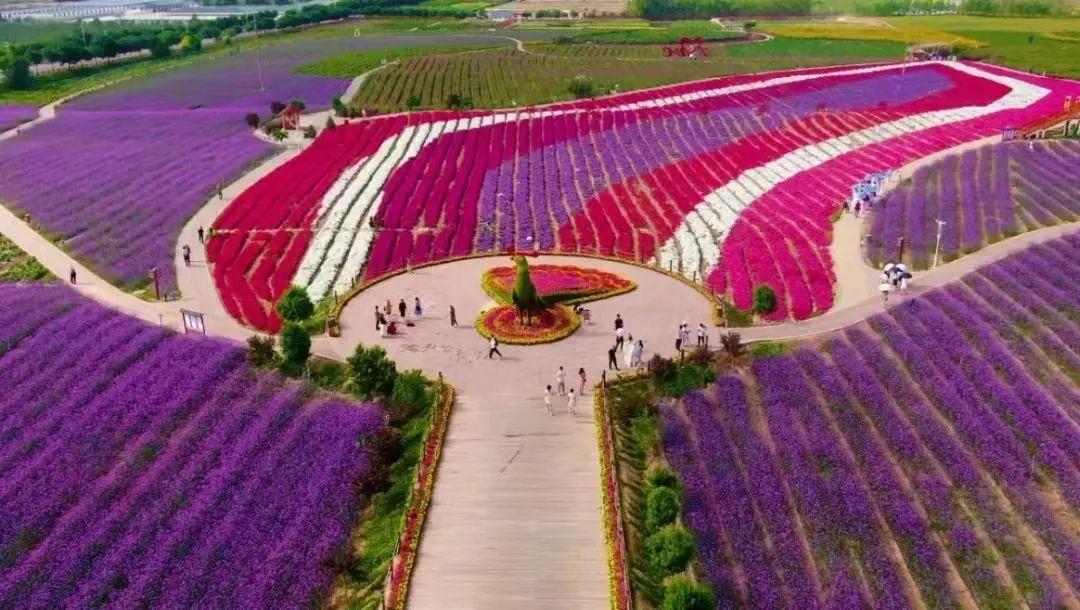 今日白銀市場動態概覽