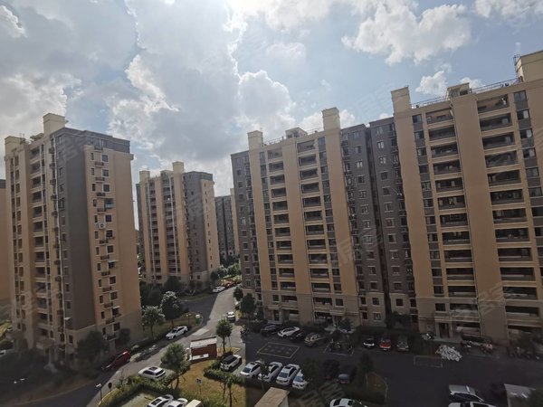 佘山松和苑最新動態，全面了解與掌握最新資訊