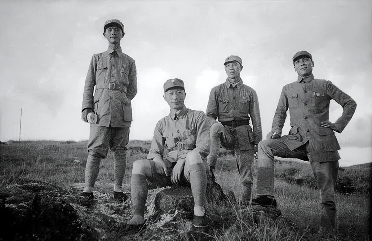 地道戰電影,小巷深處的電影寶藏探索