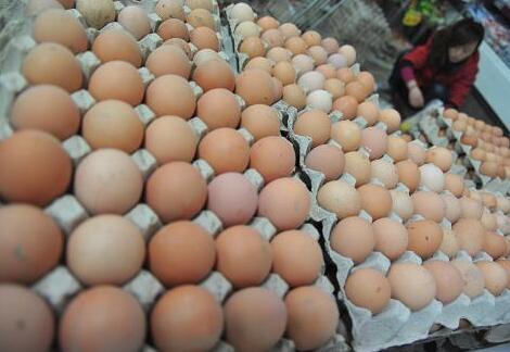浙江雞蛋行情深度解析與預(yù)測報告