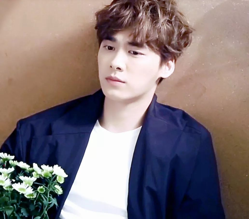 有耳鳴的明星,有耳鳴的明星，探索自然美景之旅，尋找內心的寧靜與平和