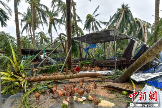 文昌臺風最新消息,????文昌臺風最新消息?????緊急通知！