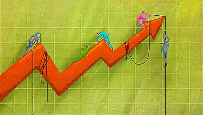 證金公司股票動態,證金公司股票動態，一場自然美景的探索之旅