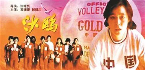 沙鷗電影,沙鷗電影，一種藝術(shù)表達(dá)方式的深度探討