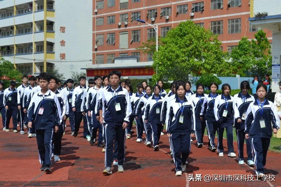 深寶安股票行情解析，前景分析與投資洞察