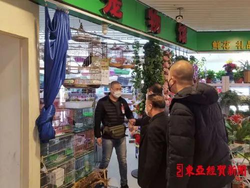 探索自然美景之旅，揭秘2017鷯哥銷售最新資訊，尋找內心的平靜與喜悅