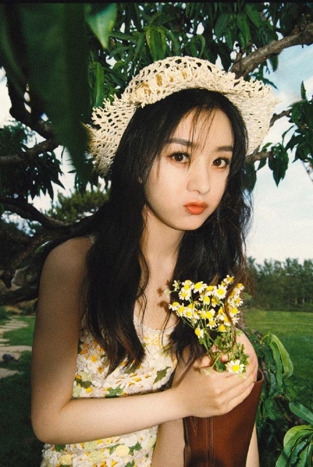 趙麗穎最新綜藝節目亮相,深度解析與期待之旅