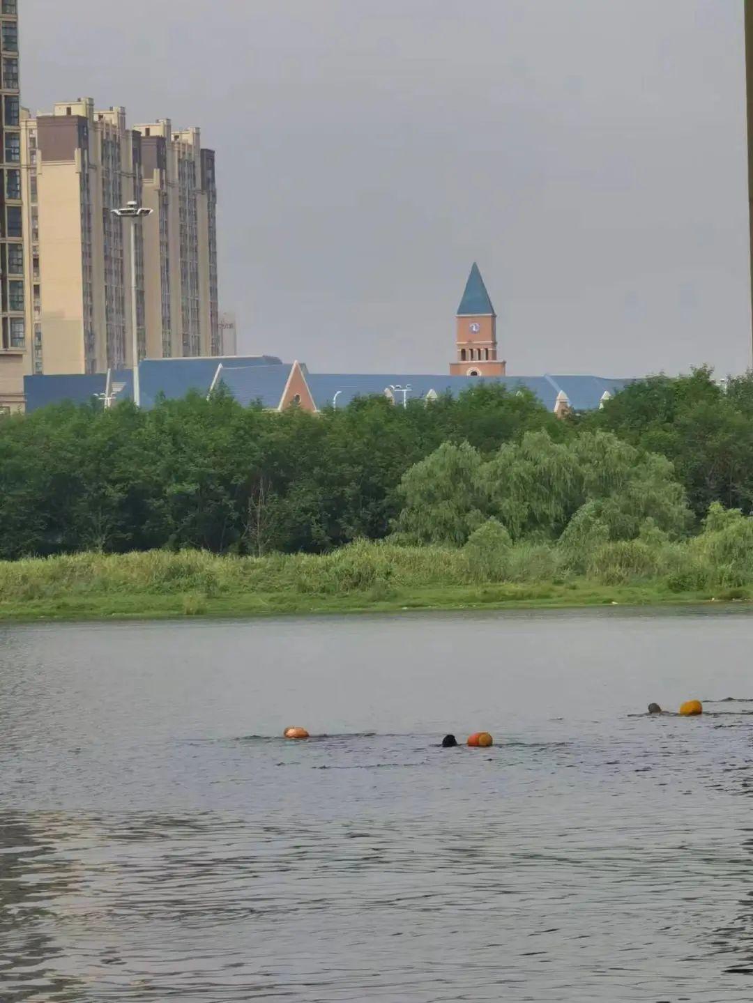 最新野泳之旅，自然美景的探索與愉悅體驗(yàn)