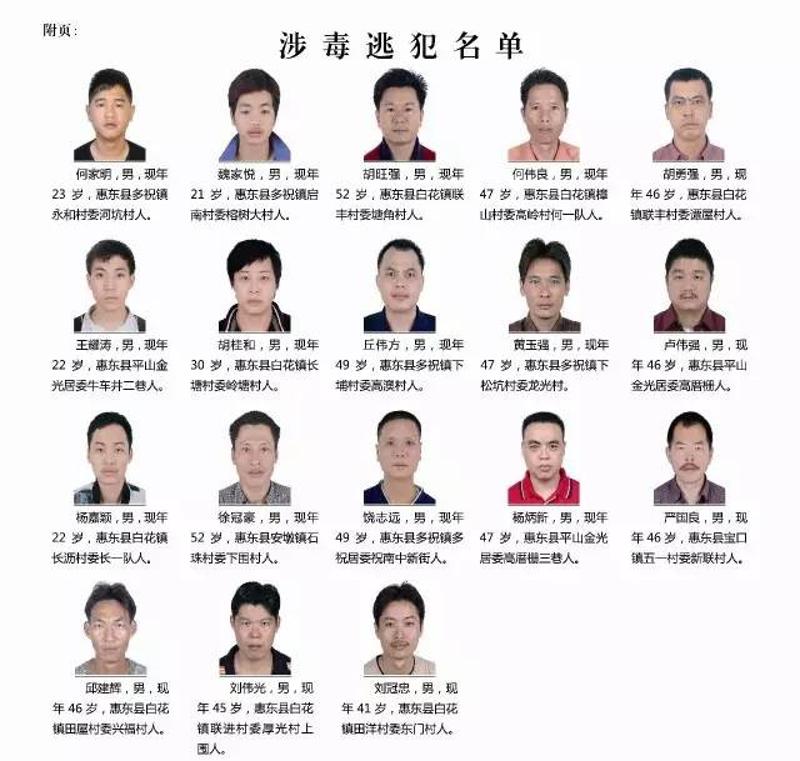 惠州最新通緝公告,惠州最新通緝公告，追逐變化，自信成就未來